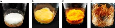 Discovering a novel glycosyltransferase gene CmUGT1 enhances main metabolites production of Cordyceps militaris